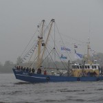 DSC00470 (800x600)