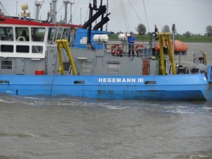 DSC01617 (2) (640x480)