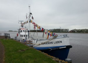 20130517_132421 700x497