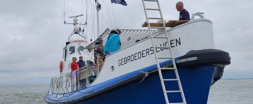 Gebroeders Luden weer in de vaart